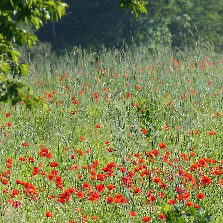 Вилла Au Ptit Coquelicot Уйе Экстерьер фото